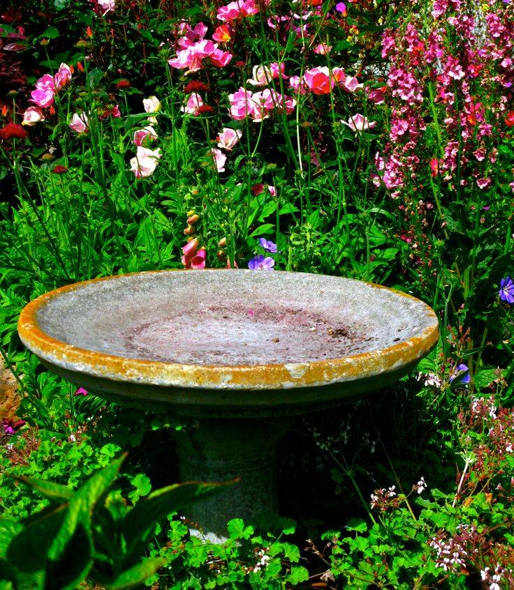 17 Bird Bath Garden Design Ideas To Try This Year SharonSable