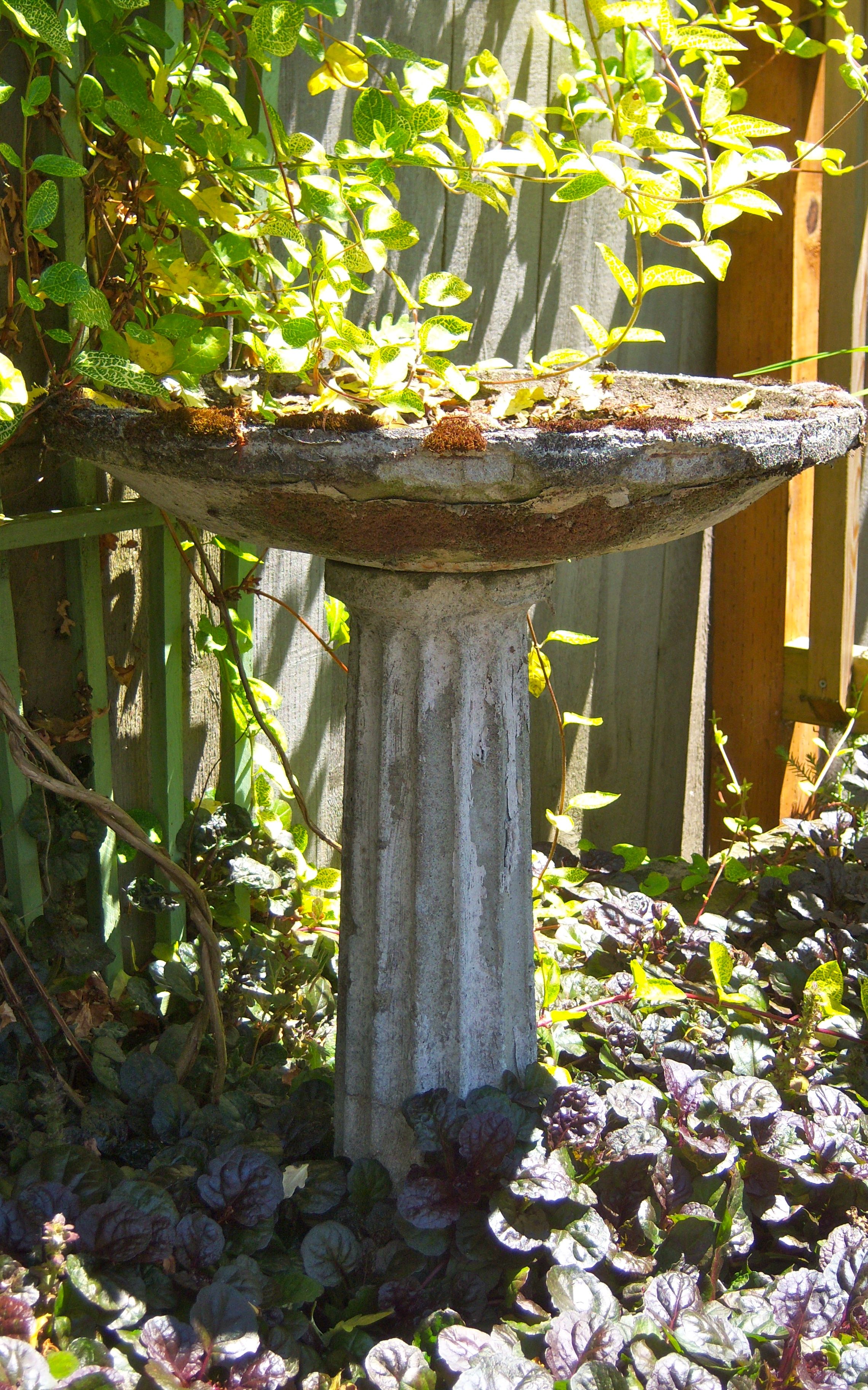 17 Bird Bath Garden Design Ideas To Try This Year SharonSable