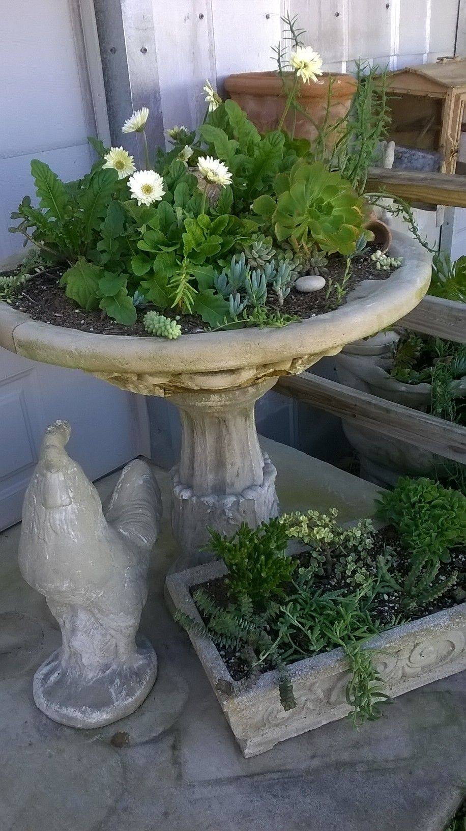 Inspiring Bird Bath Design Ideas