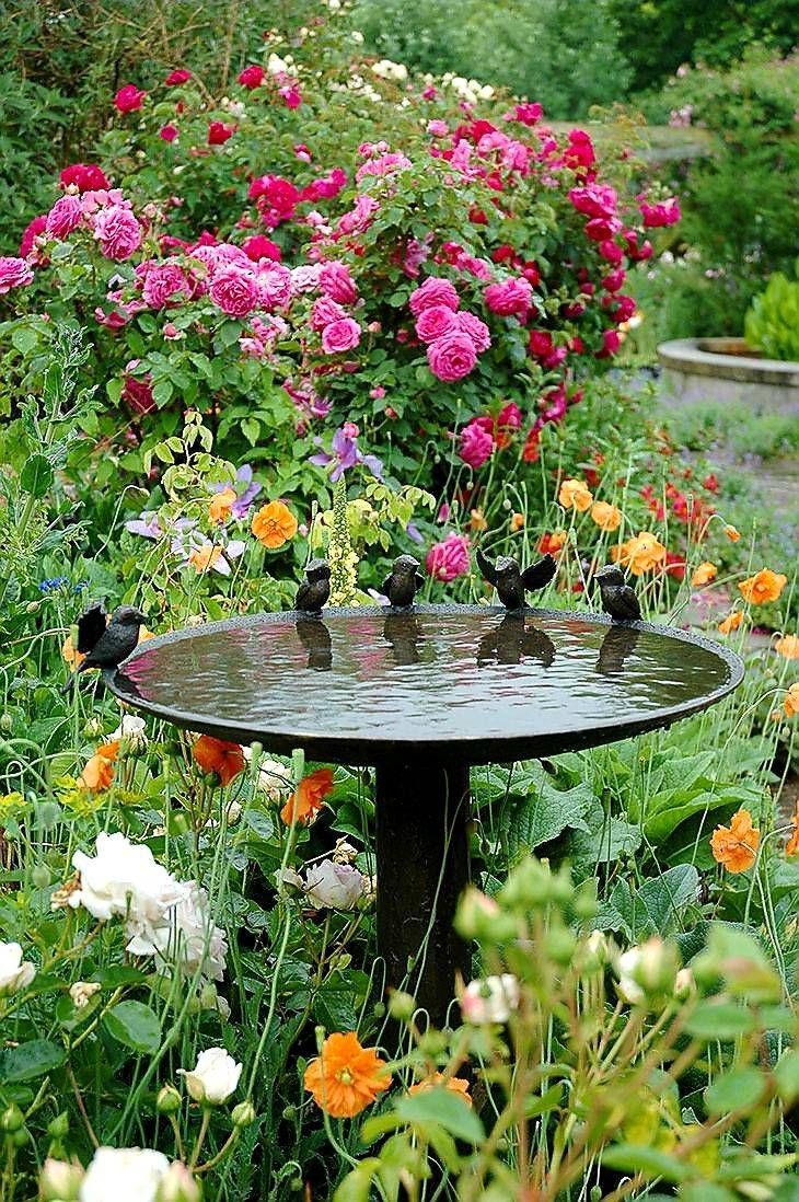 Bird Bath Flowers And Gardens