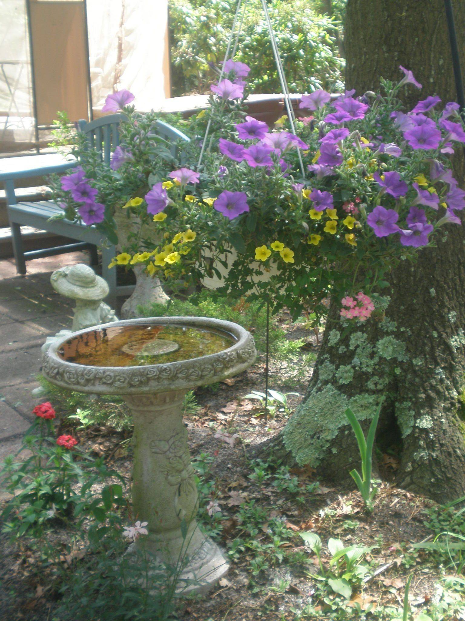 Happy Returns Day Lilies