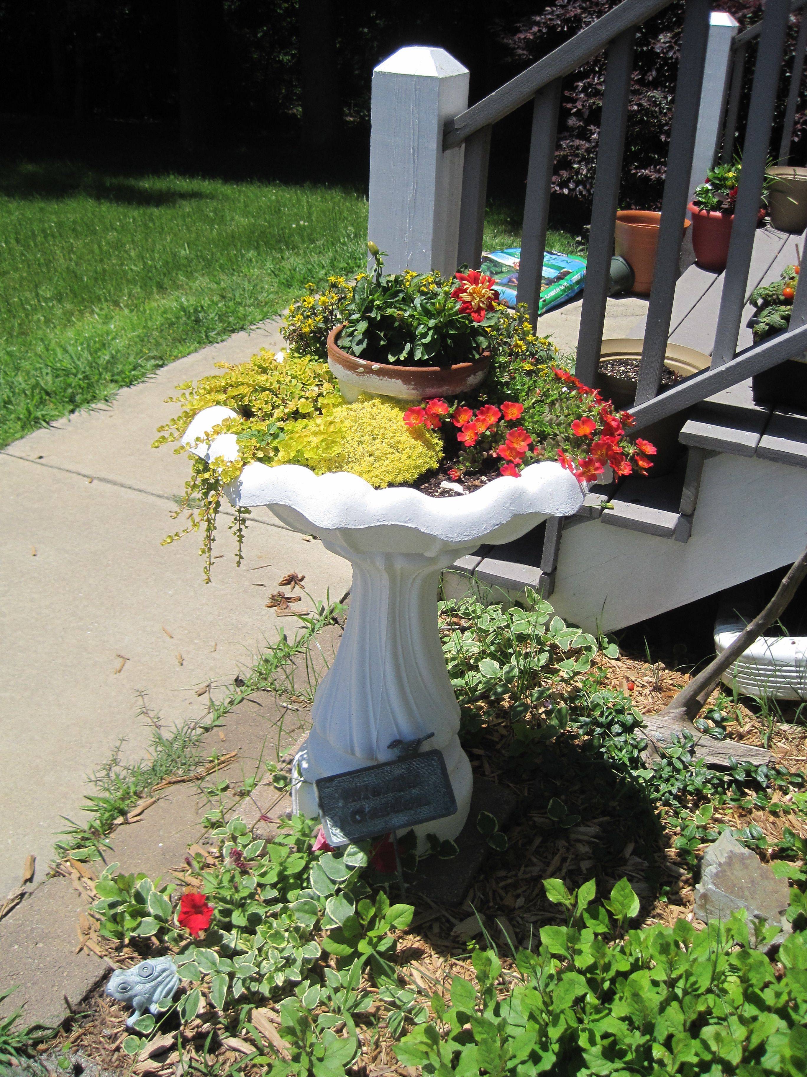 Birdbath Beautiful Flowers
