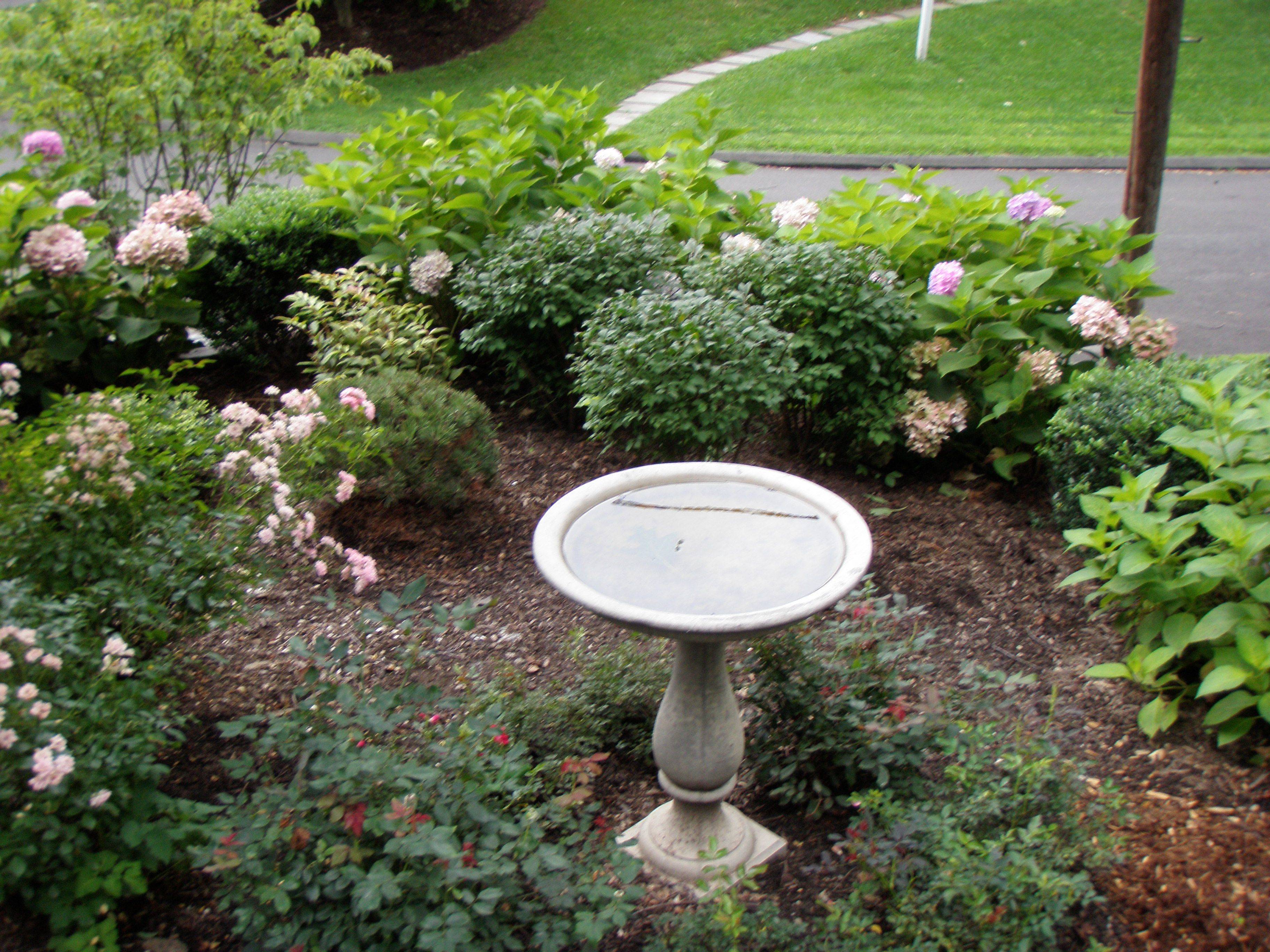 Pin On Garden And Landscaping Ideas