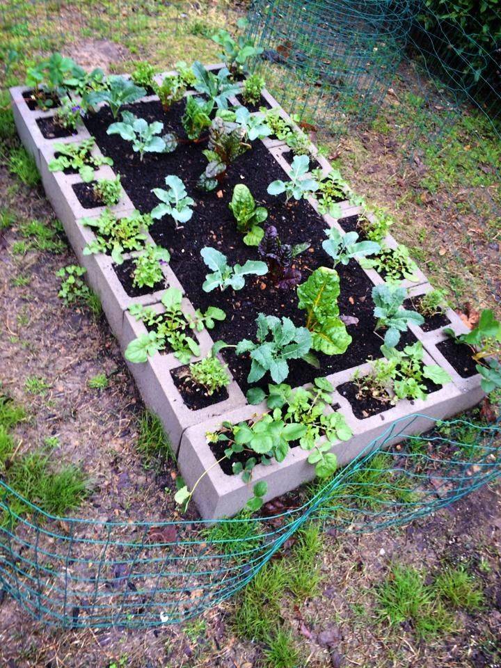 Diy Raised Garden Bed Ideas Instructions