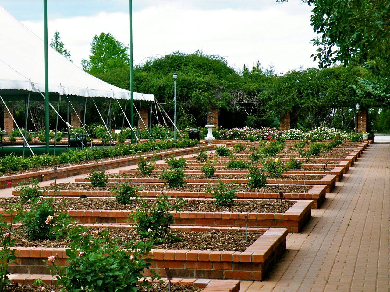 Build Raised Beds