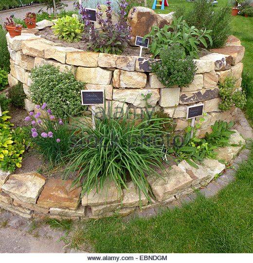 Herb Spiral Garden Google Search