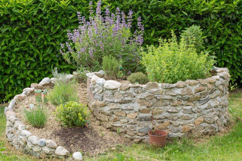 Herb Spiral Stone Stones