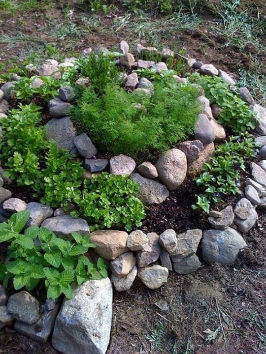 Spiral Herb Garden Garden