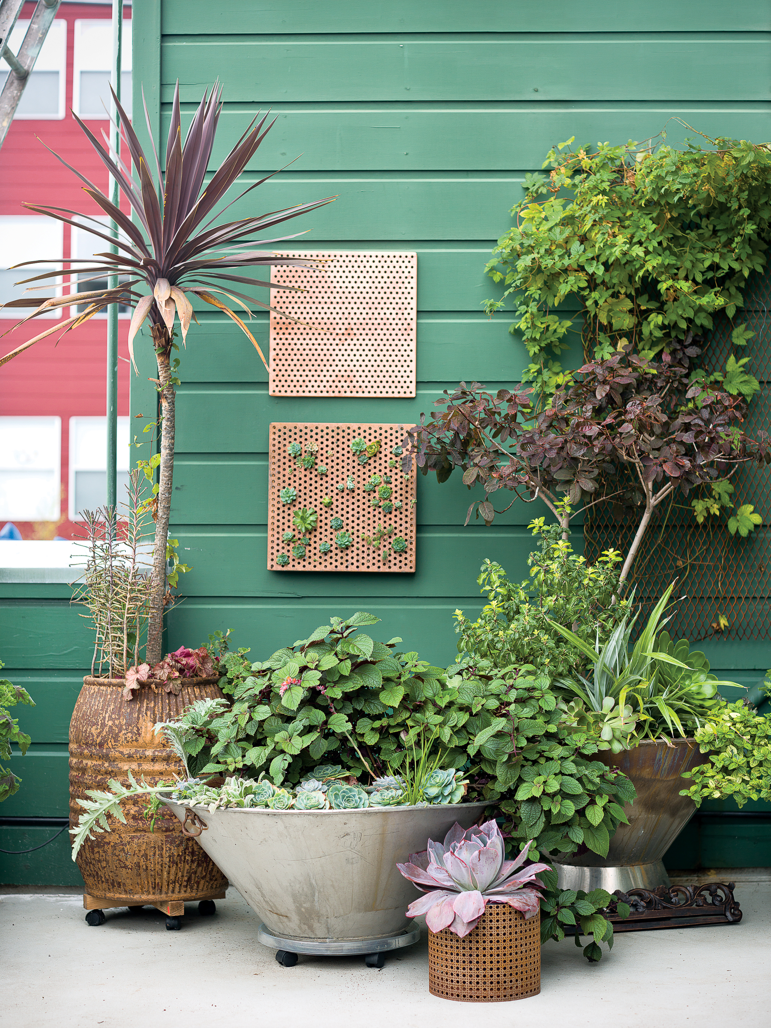 Home Garden Ideas Sunset Sunset Magazine