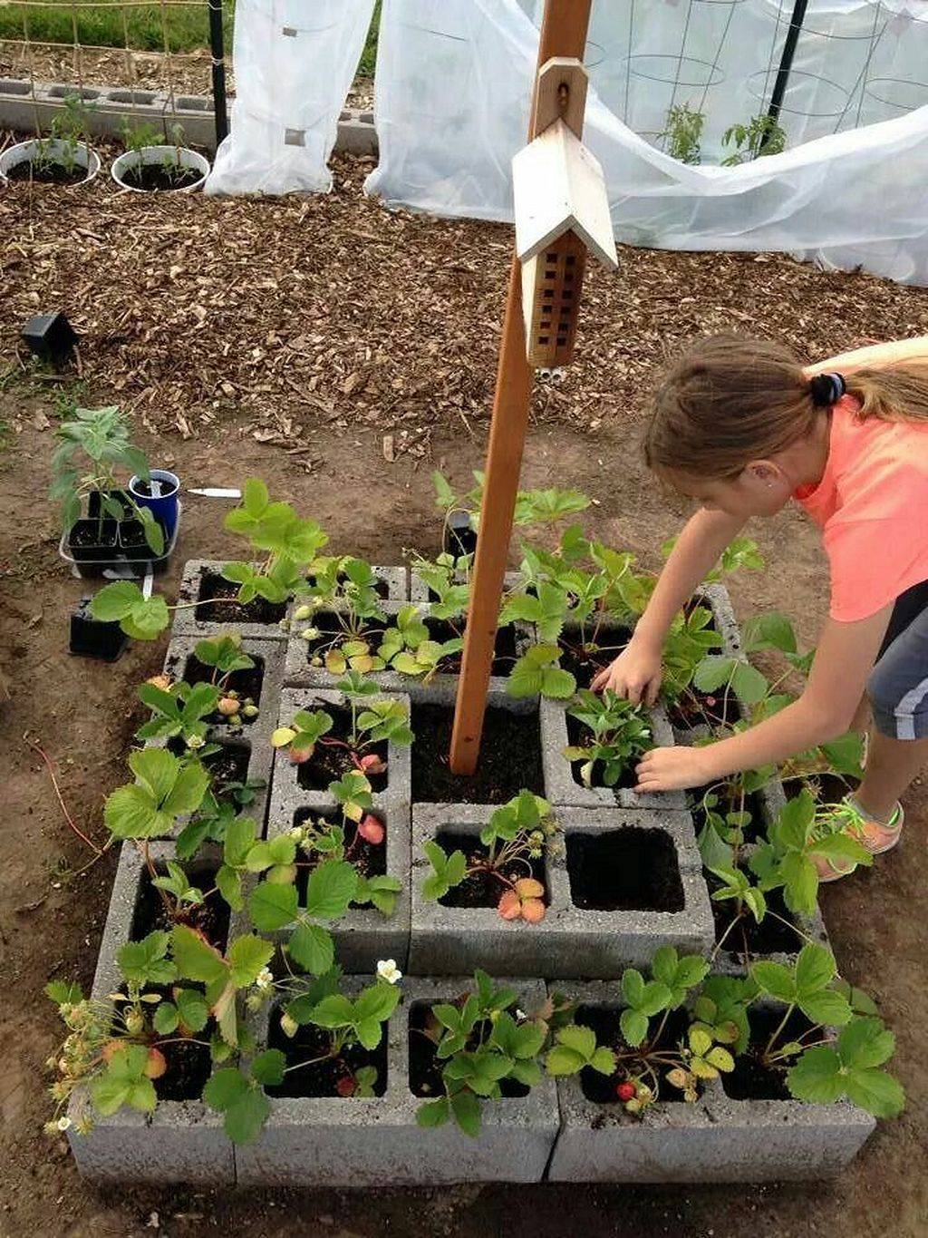 Inexpensive Raised Garden Bed Ideas