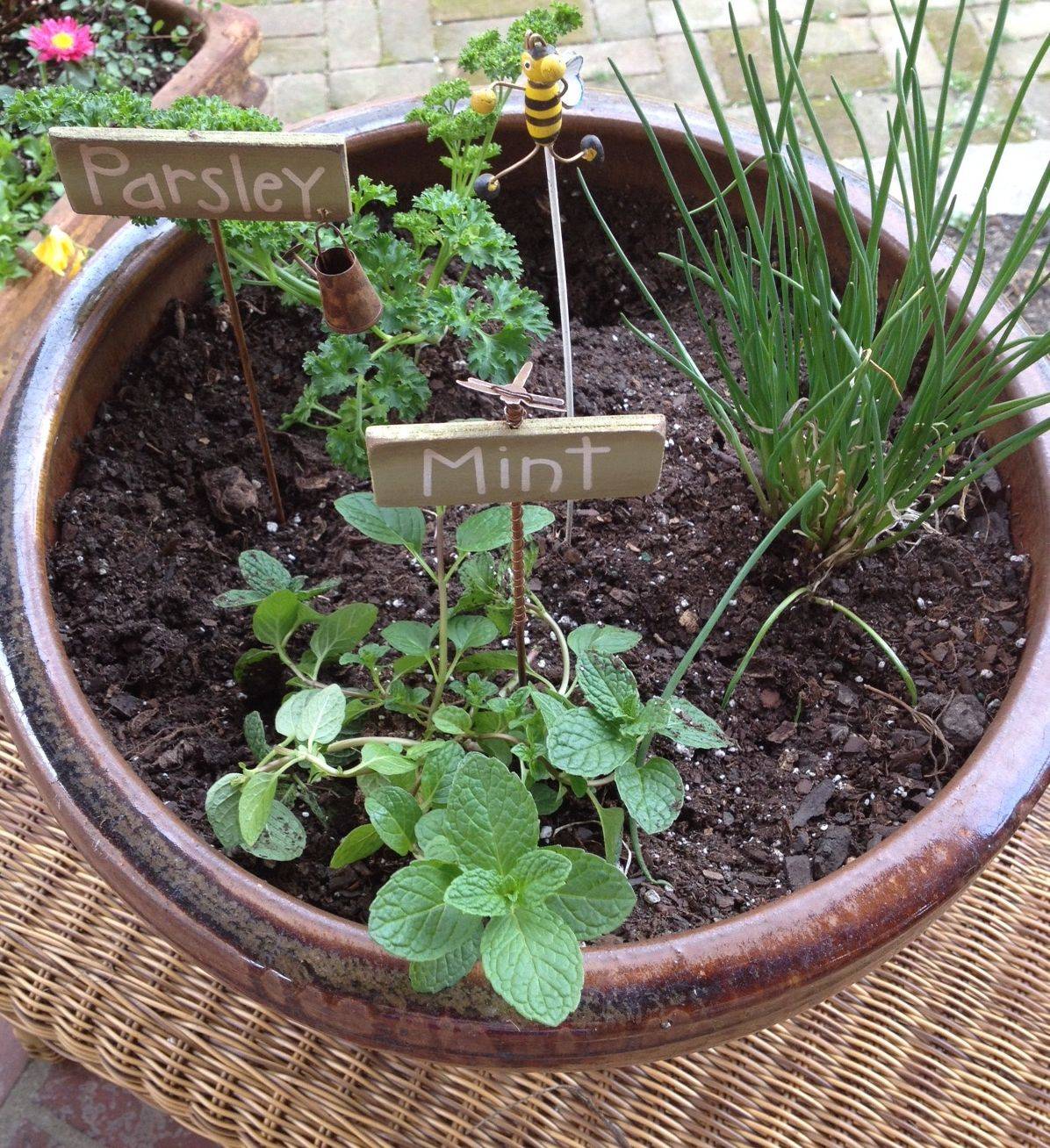 Patio Container Garden Ideas
