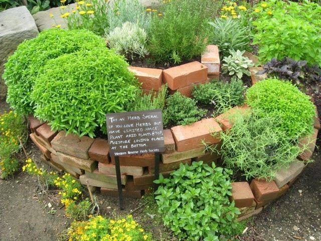 Vegetable Beds