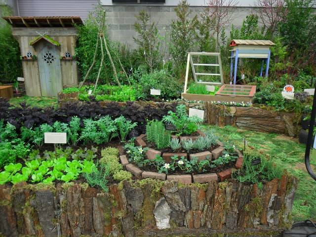 Allotment Inspiration