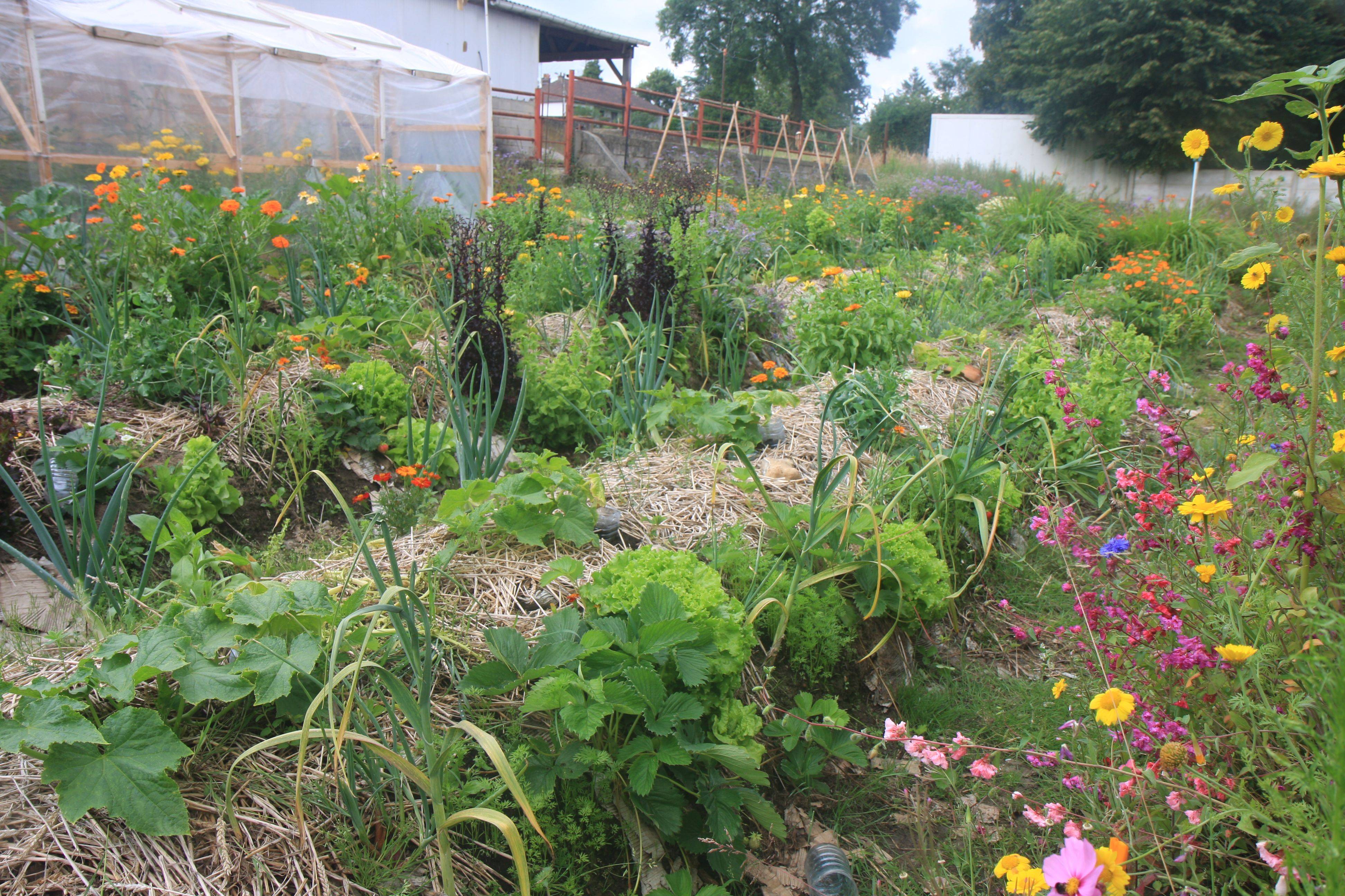 An Herb Garden