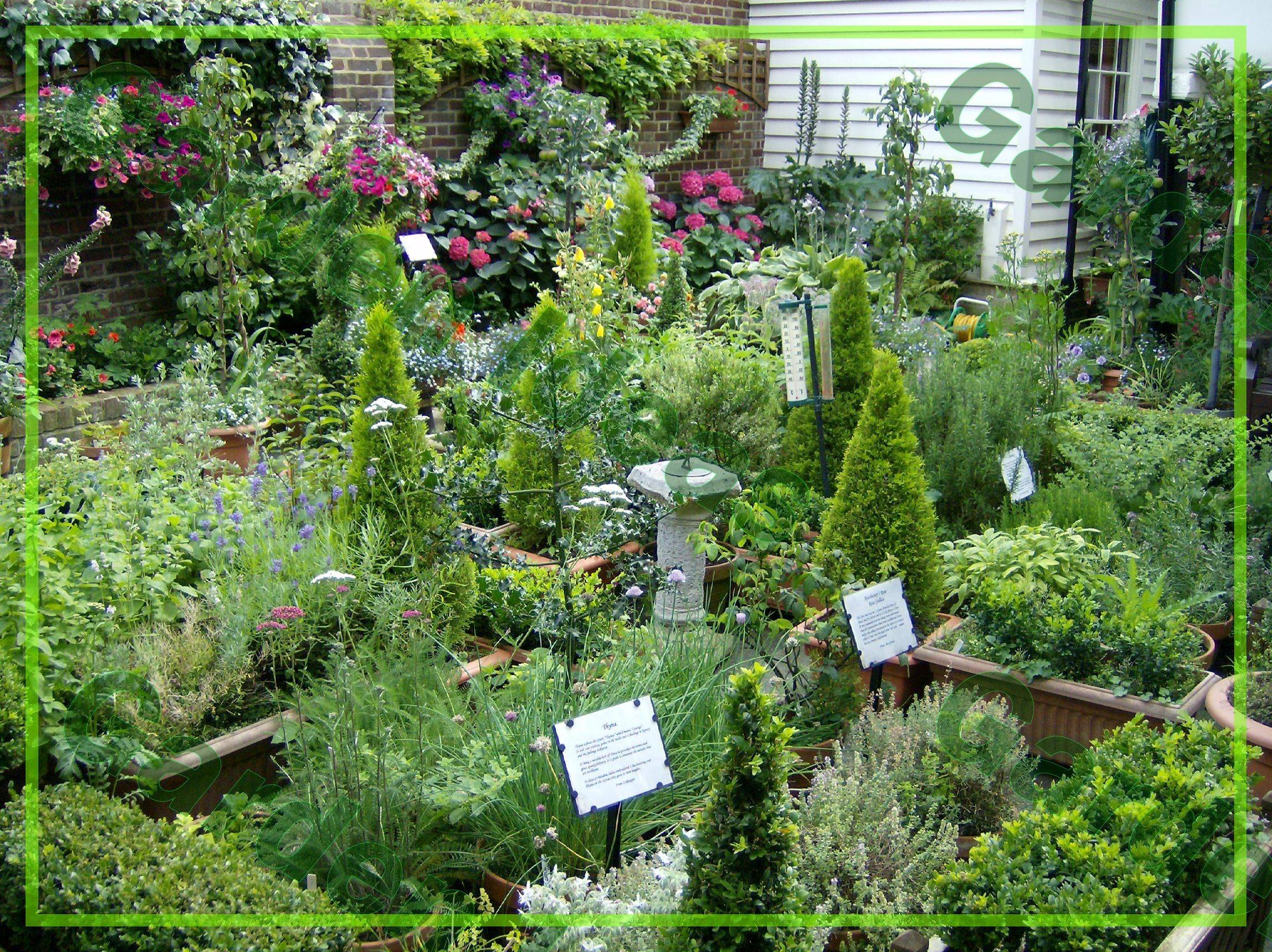 Your Own Herb Spiral Garden