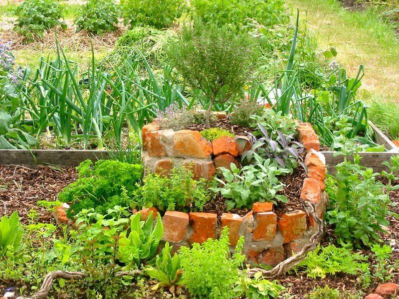 Permaculture Garden