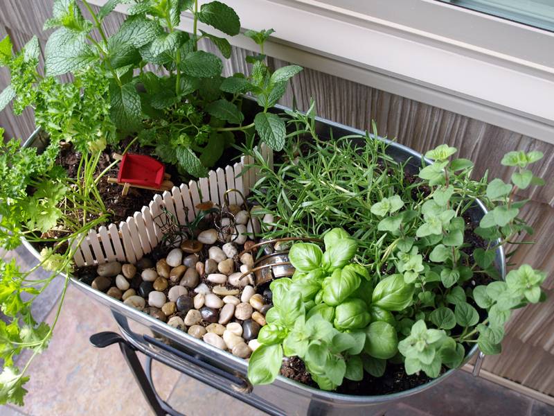 Cool Small Herb Gardens