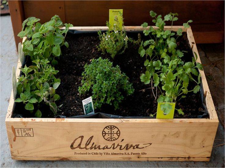 Amazing Ideas Small Herb Garden Ideas Youll Love Womenpage