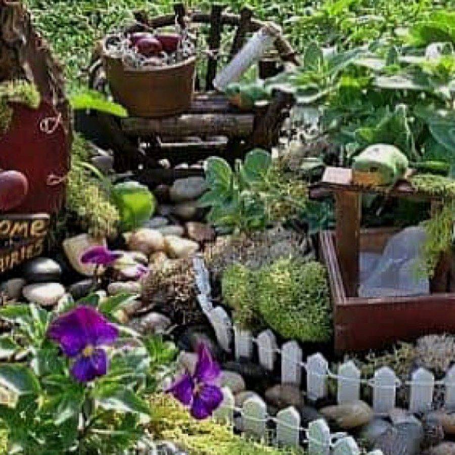A Tiered Container Garden Southern Patio