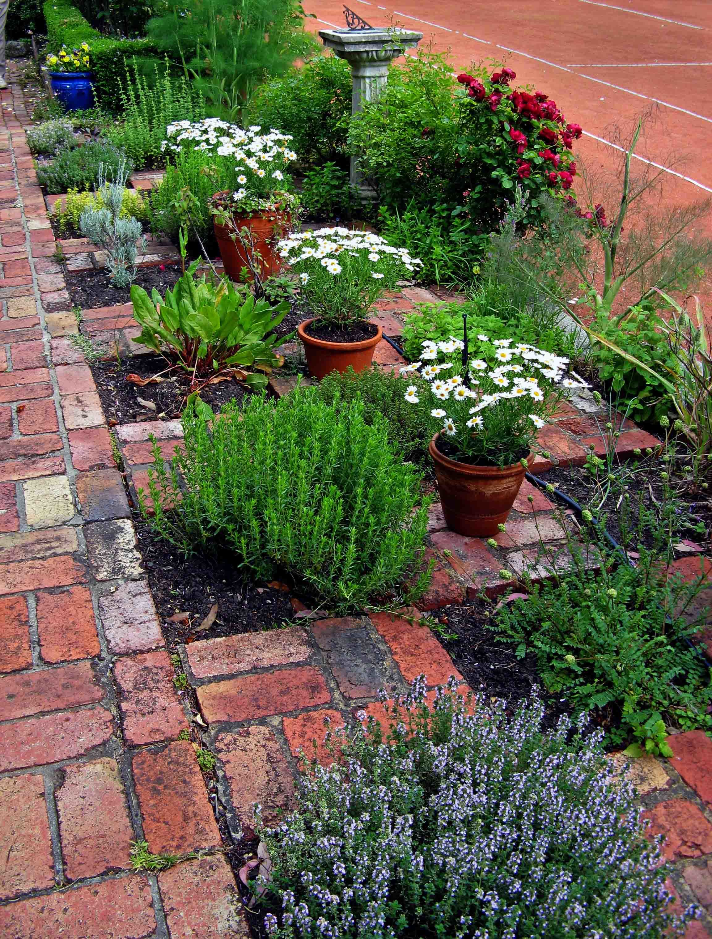 Small Herb Garden