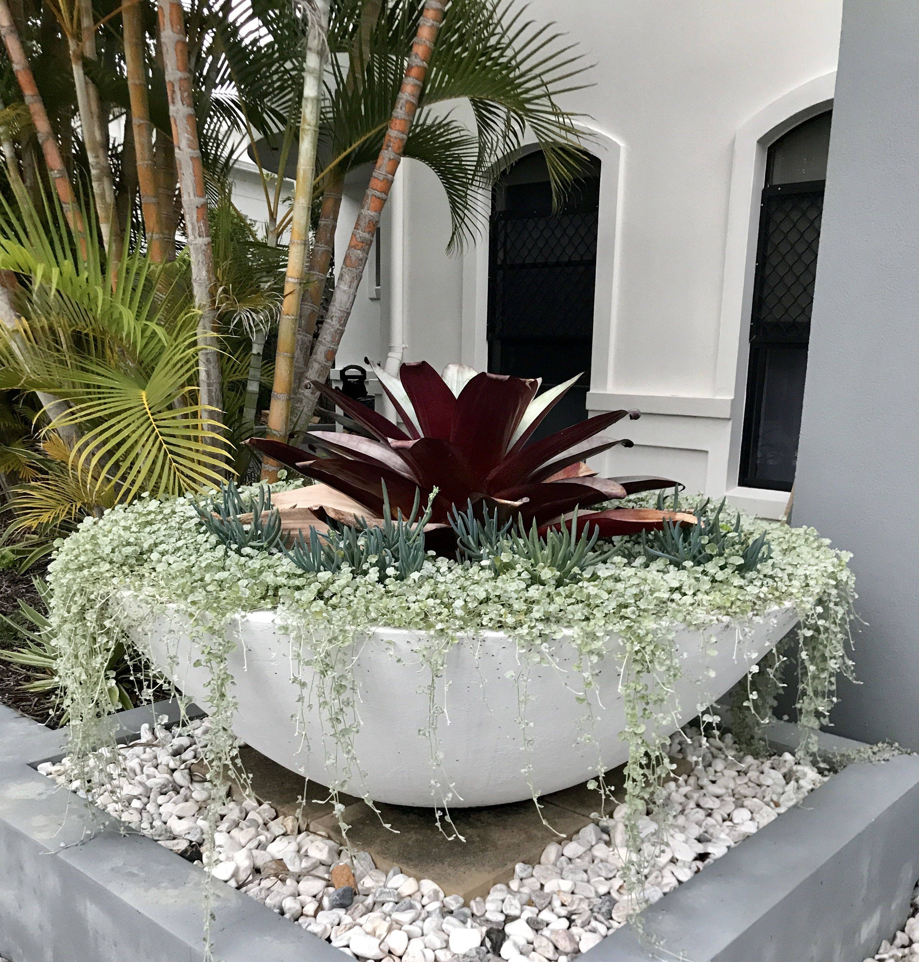 Large Planters Ideas Garden Plant