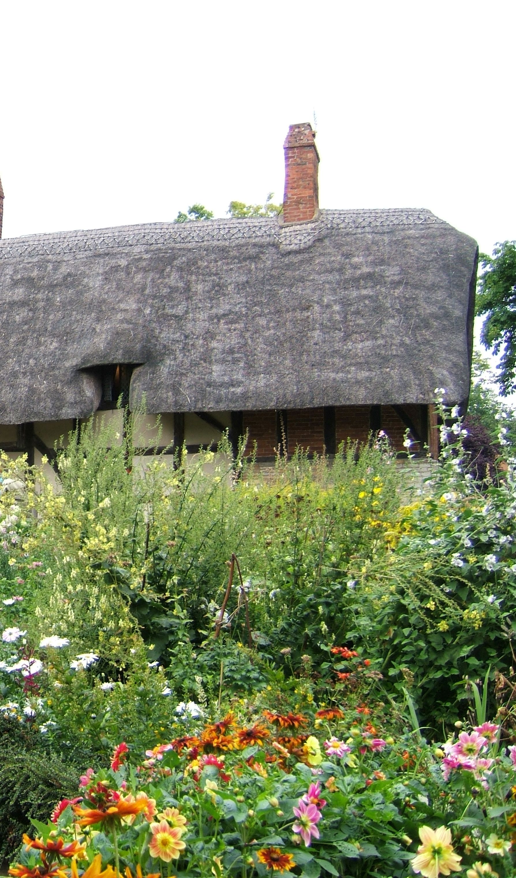 Garden Witchy Garden