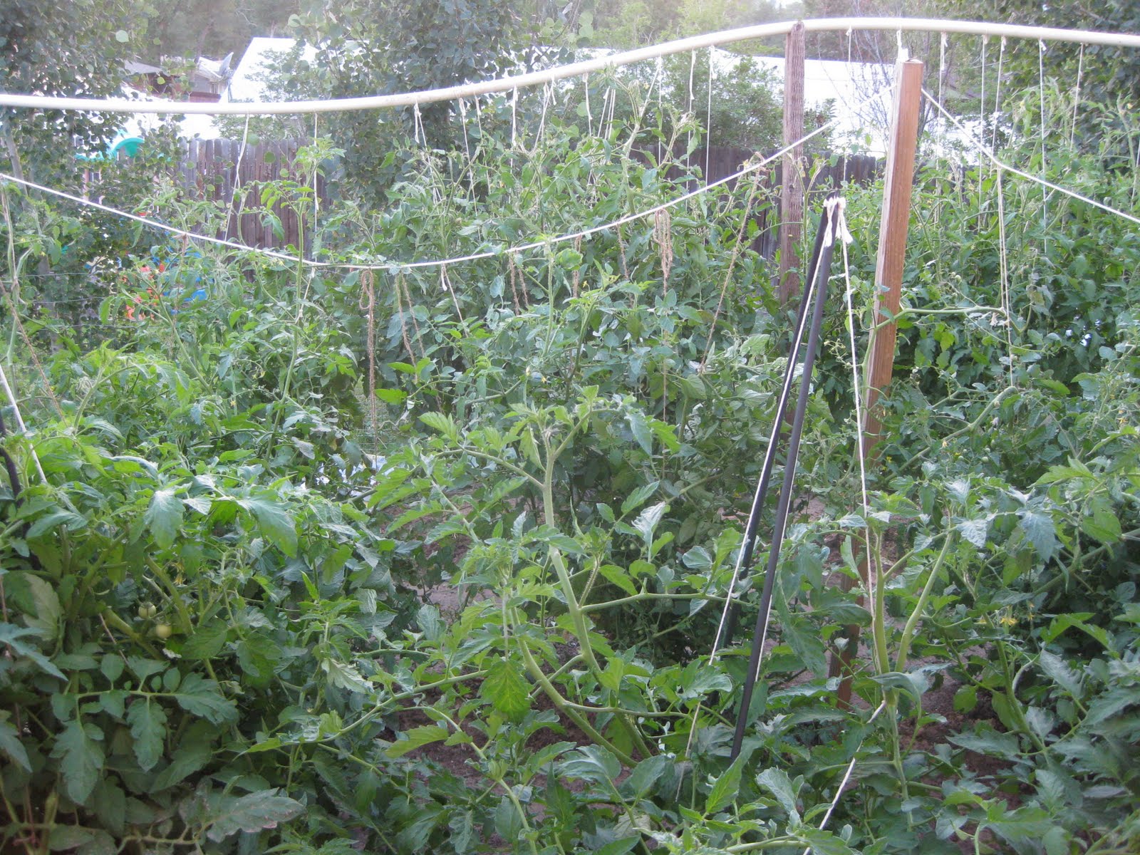 And Author A Witchs Garden Home Decor