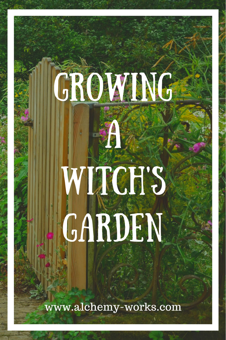 Cauldron Planter Ideas