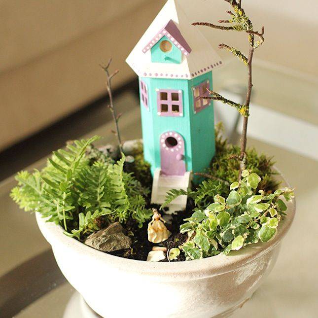 Magical And Best Plants Diy Fairy Garden Ideas