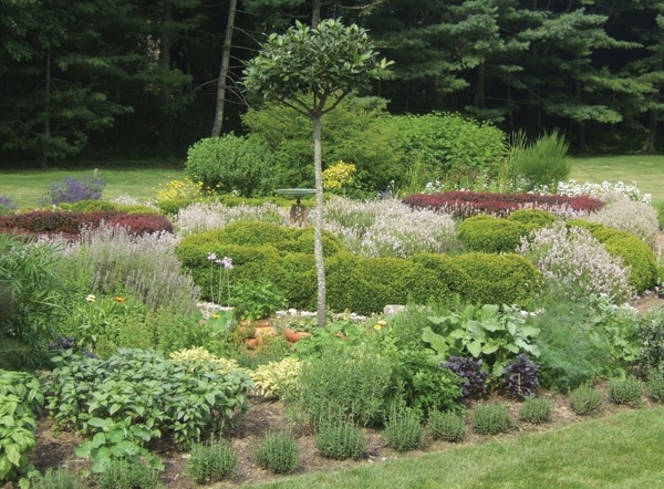 Magical Fairy Garden Designs