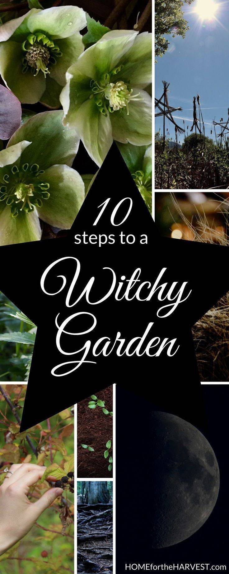 Garden Witch Garden