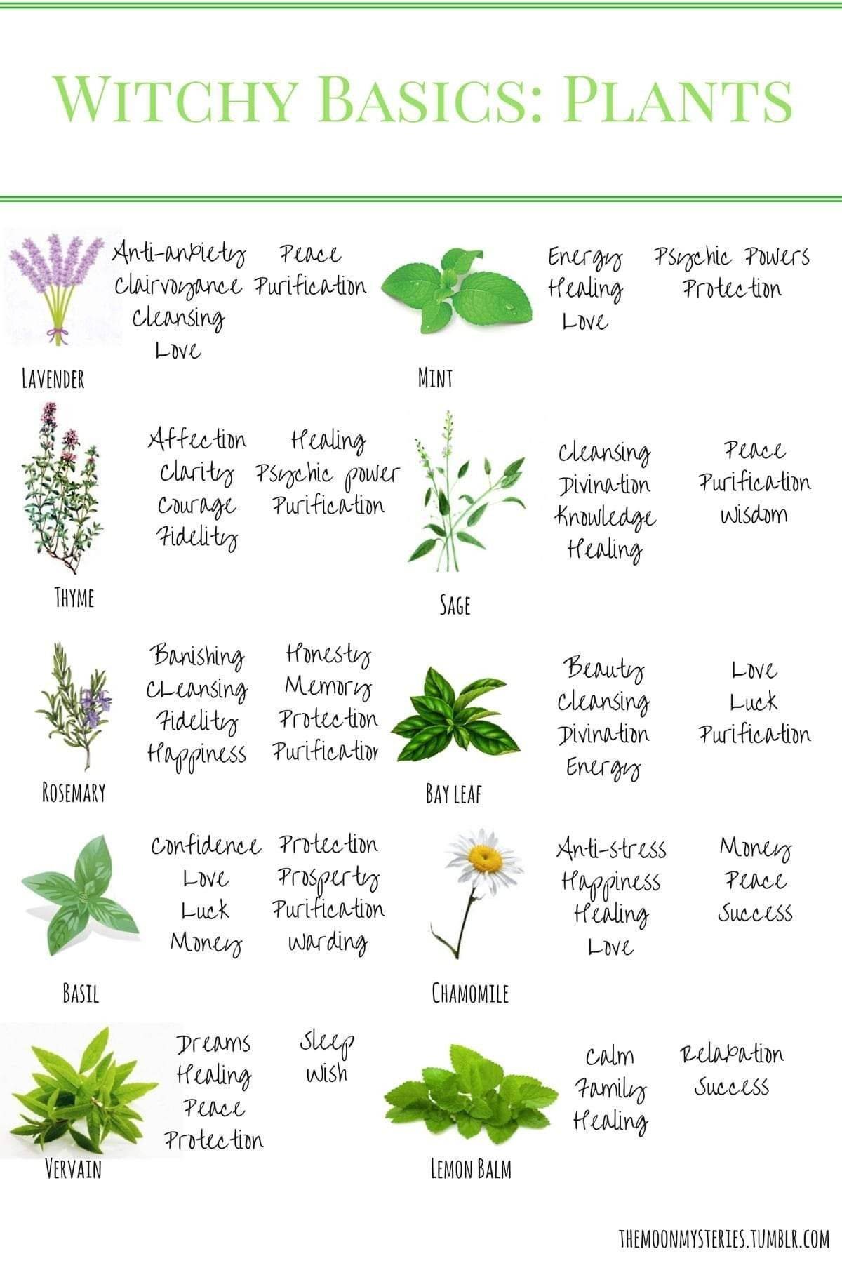 Cultivate Plant Magick And Nurture Sacred