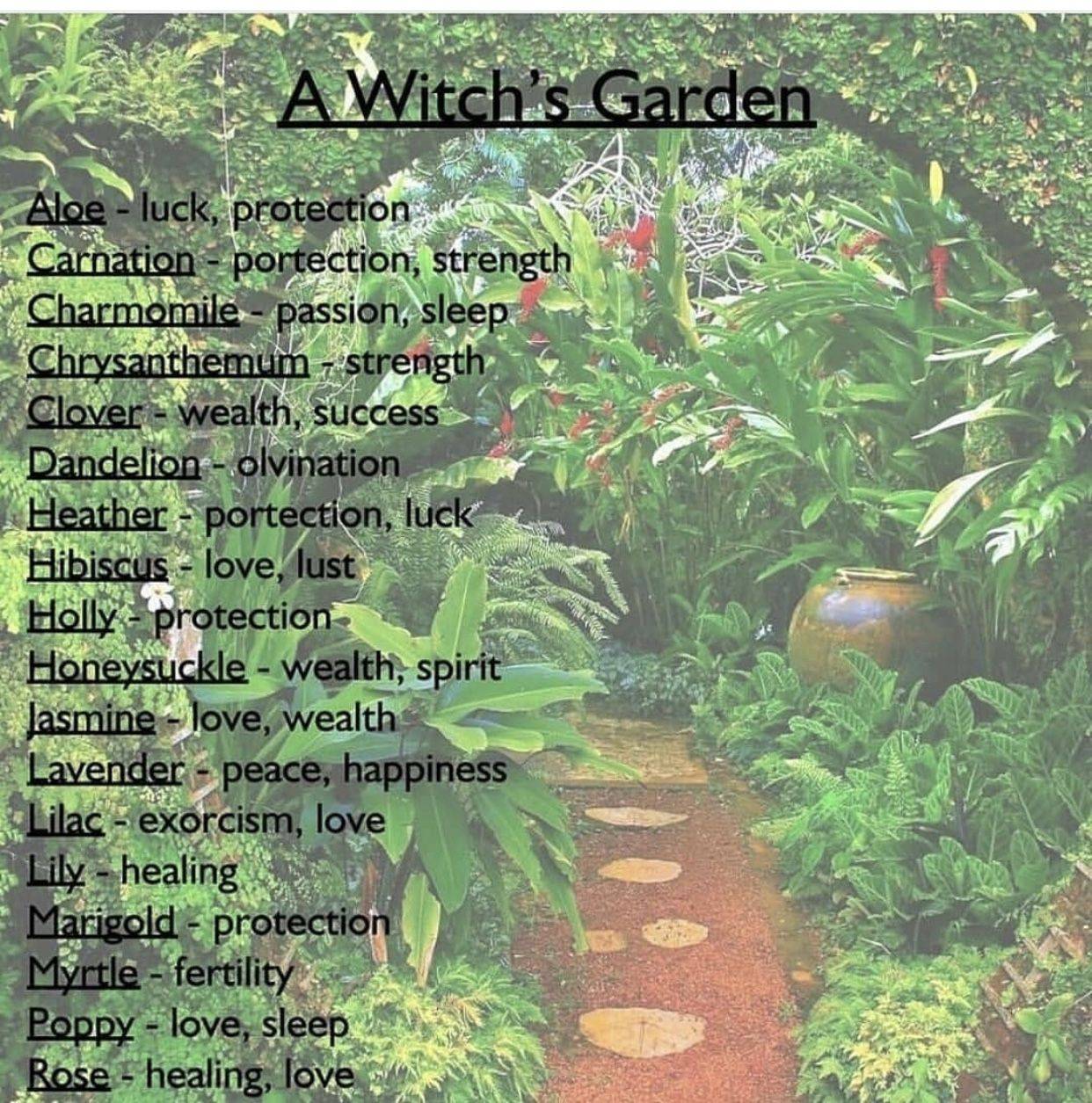 Witchy Magic Herbs