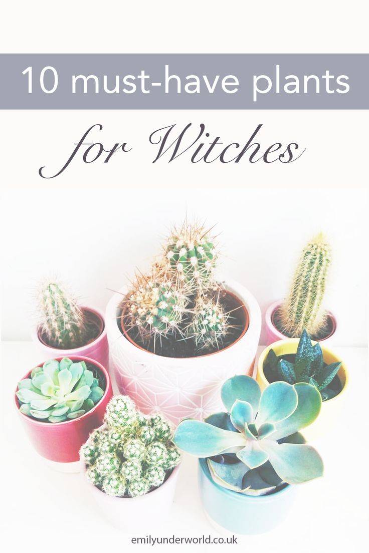 Tiffany Walton