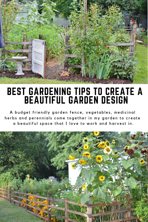 19 Medicinal Herb Garden Layout Ideas For This Year SharonSable