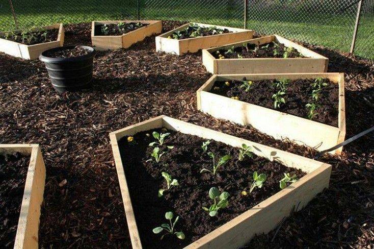 Amazing Herb Garden Ideas