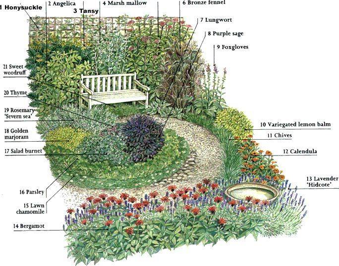 Herbal Medicinal Garden Google Search Herb Garden Design