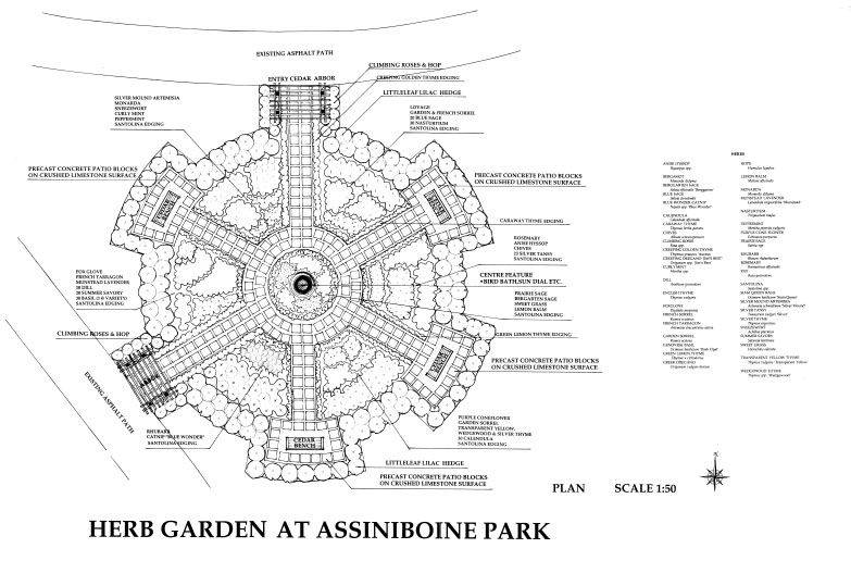 19 Medicinal Herb Garden Layout Ideas For This Year SharonSable