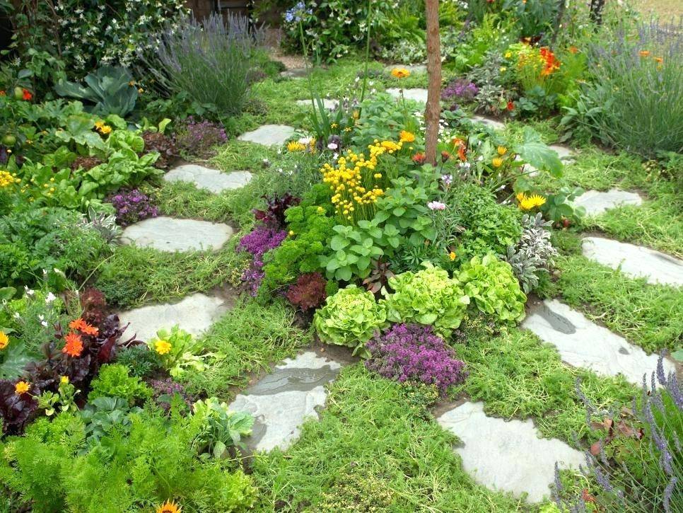 Spiral Herb Garden Design Photograph