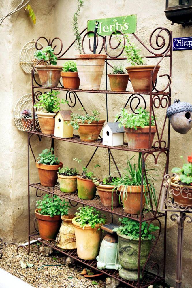 Best Herb Garden Ideas