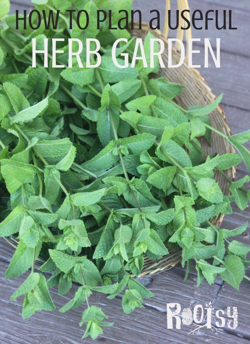 Your Own Herbal Tea Garden