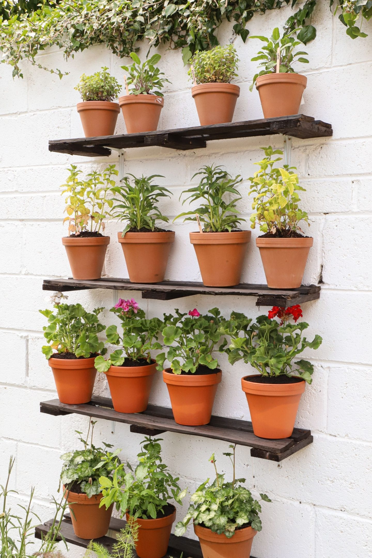 Hacks Small Garden Projects