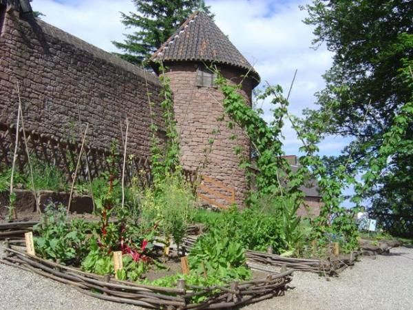 Monks Herb Garden