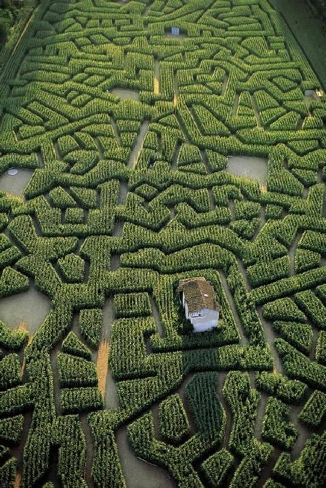 Spiritual Labyrinths