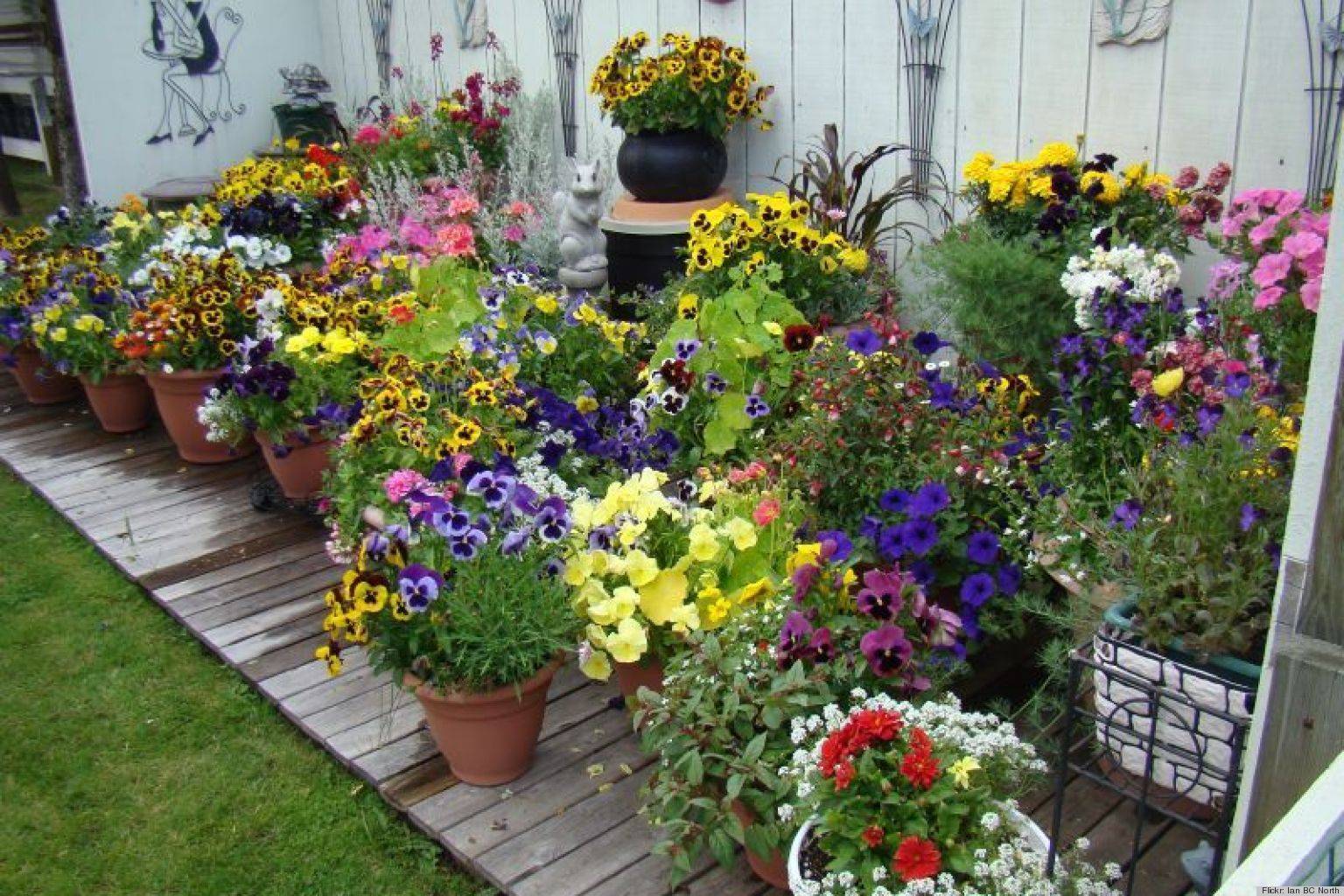 Fresh And Easy Summer Container Garden Flowers Ideas Container