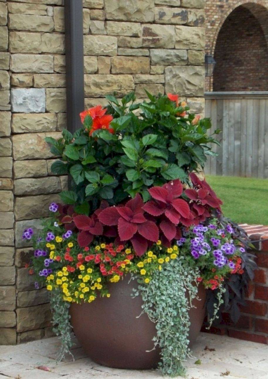Chic Summer Container Garden Flower Ideas