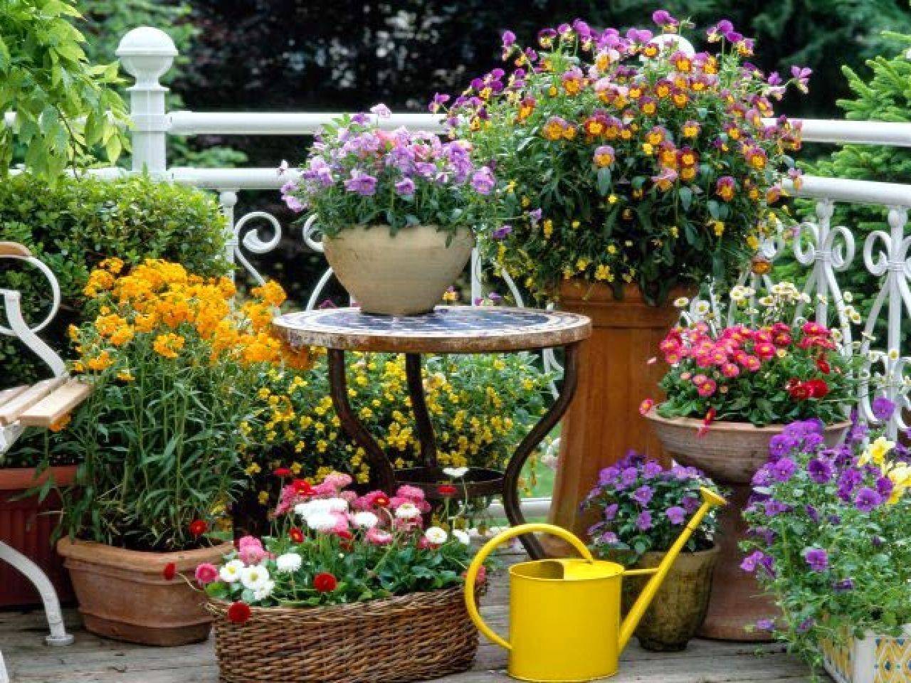 Patio Flower Ideas