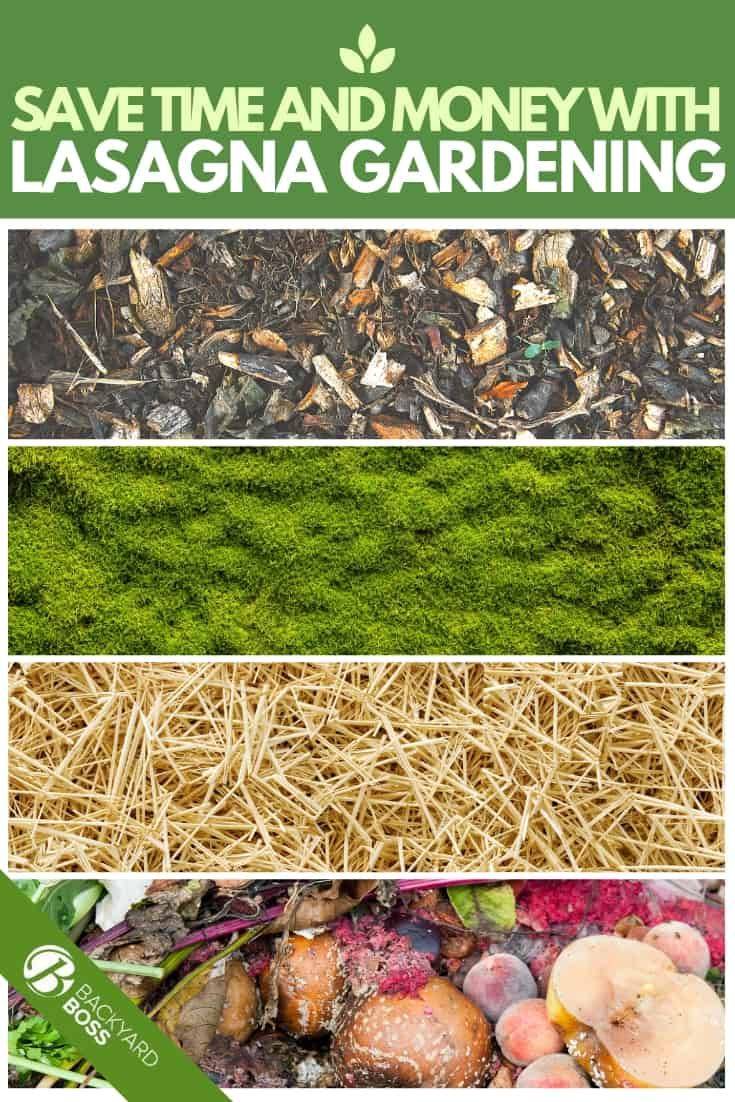 The Lasagna Gardening Technique