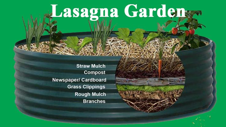 A Raised Bed Brooklyn Botanic Garden