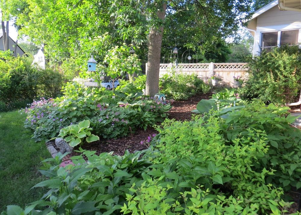 Lasagna Gardening Jardinera